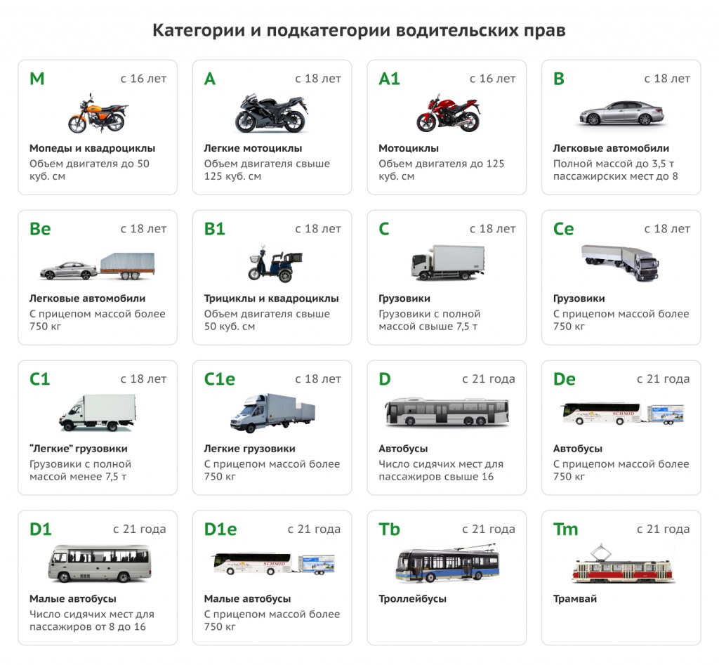 Водительская справка для ГИБДД в Туле | «Добрый доктор Н»